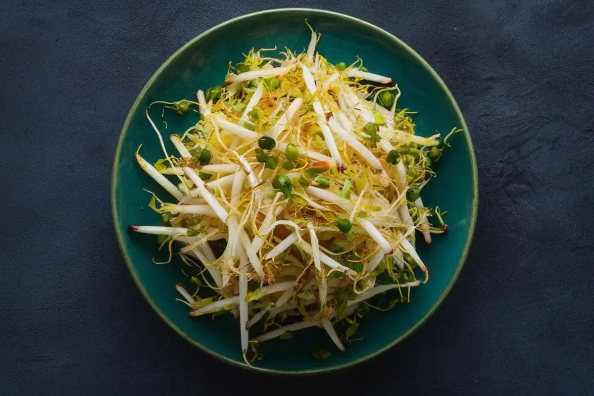 bean sprouts recipe