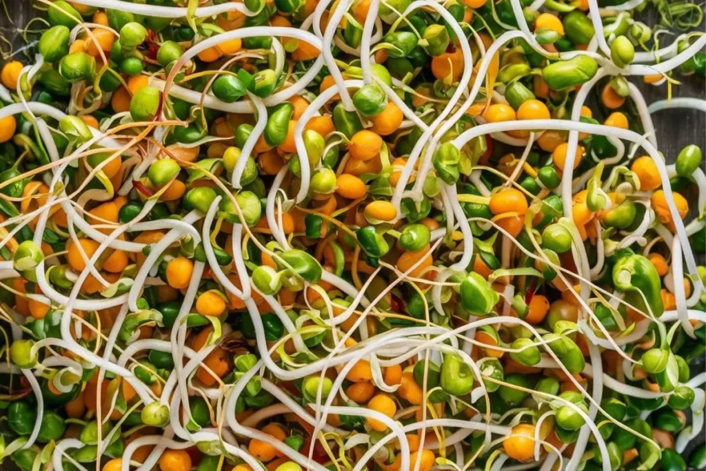 Health Benefits of Eating Bean Sprouts Raw