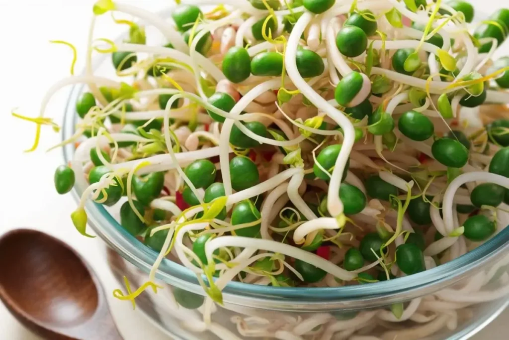 How to Safely Enjoy Bean Sprouts